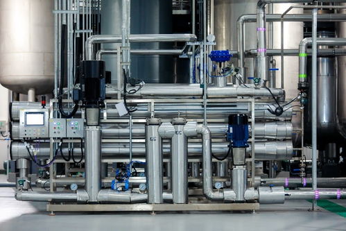 基因港百噸nmn工廠正式投產, 銀發 經濟增添新動力