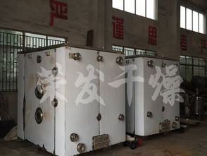 湖北宜昌食品公司與榮發(fā)干燥合作，引進恒特發(fā)薯條烘干機助力產(chǎn)業(yè)升級